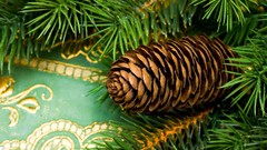 Trees leaves macro pinecones