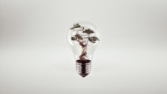 Trees lightbulb digital art