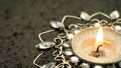 Trees lights iced earth