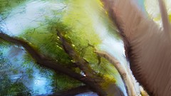 Trees Michael Plaster