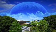 Trees moon growth Beaches planets outdoors outer space beach 