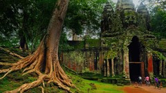 Trees moss arches bing gates stone buildings cambodia cycling