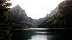 Trees Mountains hills switzerland Taney