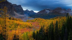 Trees Mountains Park Canada British Columbia rivers forests 