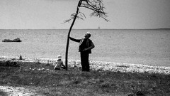 Trees Movies children grayscale Andrei Tarkovsky Offret