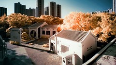 Trees multicolor cityscapes Yiu Yu Hoi