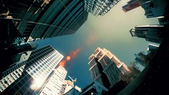 Trees multicolor cityscapes Yiu Yu Hoi