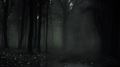 Trees night dark horror forests slender Slender Man slenderman 