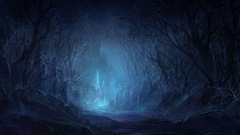 Trees night forests Jaecheol