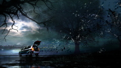 Trees night Honda cars