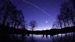 Trees night Stars purple