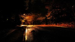 Trees night stranger