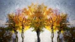 Trees paintings symmetry