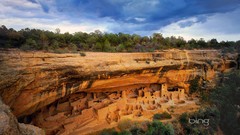 Trees palace Colorado national park bing carving rock formations