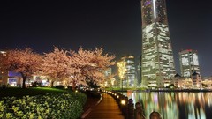 Trees pathway buildings cities rivers cityscapes