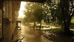 Trees rain Men bench shelter Umbrellas buildings