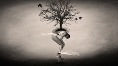 Trees raven Ravens Photo manipulation levitation bent over