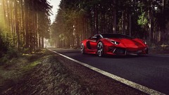 Trees red cars Lamborghini roads reflections sunlight forests 