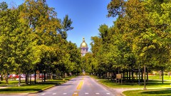Trees roads HDR Photography