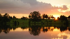 Trees roads lakes sundown