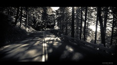 Trees roads monochrome Greg