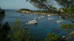 Trees ships yatch Sea