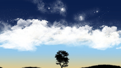 Trees silhouettes skyscapes