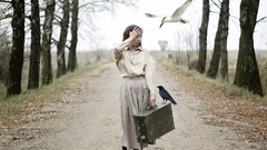 Trees situation Birds suitcase crow