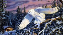 Trees snow paintings snowy owl forests Owls
