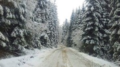 Trees snow roads winter roads