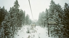 Trees snow winter forests pine trees ropeway