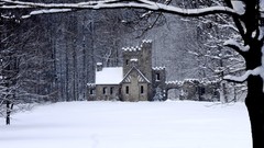 Trees snow winter ruins Cleveland Castles Squire's Castle