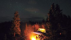 Trees Stars fire tent tents camping