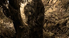 Trees Stealth snipers sniper rifles ghillie suit Ghillie