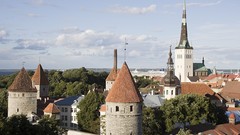 Trees Tallinn Europe architecture cityscapes