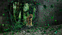 Trees Tigers leaves Desktopography
