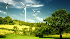 Trees wind turbines
