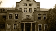 Trees windows old broken houses abandoned house