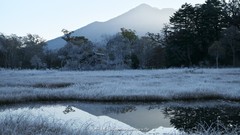 Trees winter blue Mountains morning pasture frosty