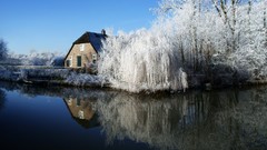 Trees winter frosty farmhouse