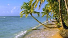 Tropical beach high nature