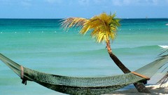 Tropics Beaches tropic