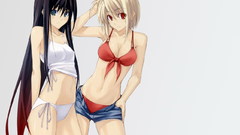 Tsukihime arcueid brunestud type-moon