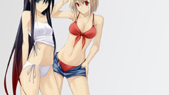 Tsukihime arcueid brunestud type-moon
