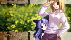 Tsukihime arcueid brunestud type-moon