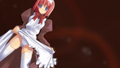 Tsukihime maids type-moon hair