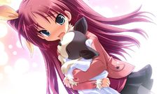 Tsurugi Hagane (Artist) harukazedori