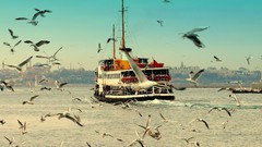 Turkey Istanbul cities cityscapes steamship bosphorus