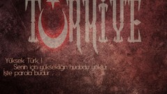 Turkey turk turkish Citroën DS3