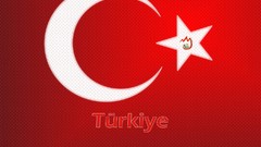 Turkish flag euro 2008